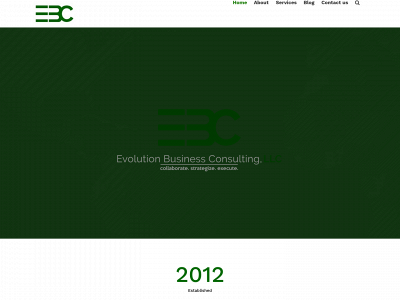 evobusinessconsulting.com snapshot