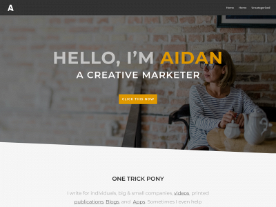 aidandemolli.com snapshot