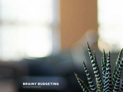 brainybudgeting.com snapshot