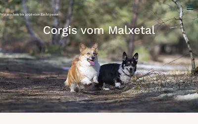 corgis-vom-malxetal.de snapshot