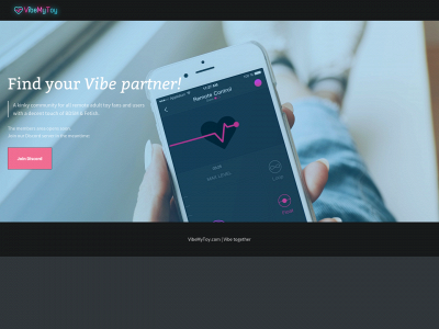 vibemytoy.com snapshot
