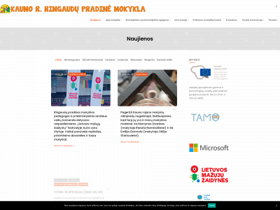 ringaudumokykla.lt snapshot