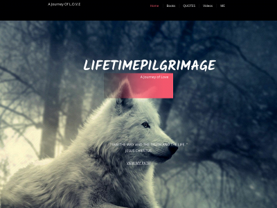 lifetimepilgrimage.com snapshot