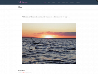 lillkempe.com snapshot