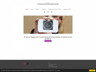 emsmallbusiness.com snapshot