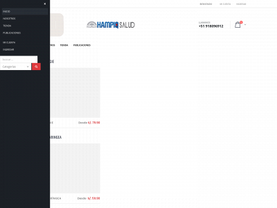 hampiqsalud.com snapshot