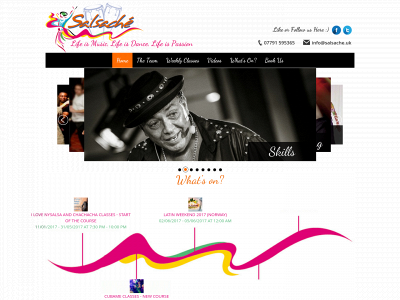 salsache.uk snapshot