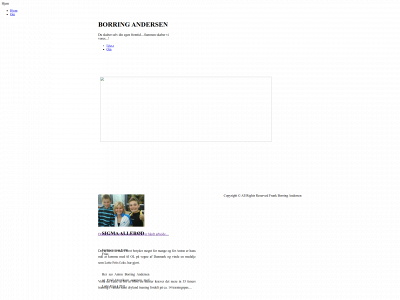borringandersen.dk snapshot