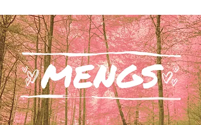 mengs.no snapshot