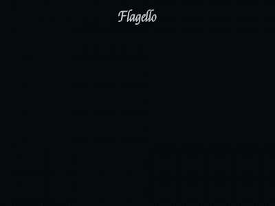 flagello.de snapshot