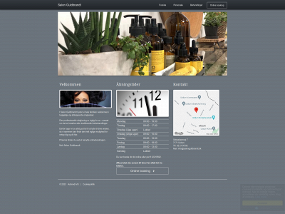 salonguldbrandt.dk snapshot