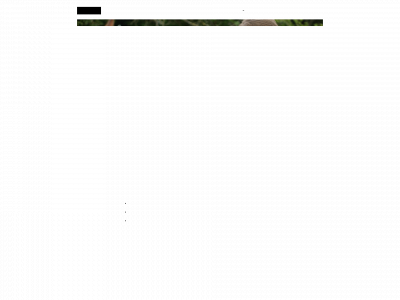 fysiurgisk-hesteterapi.dk snapshot