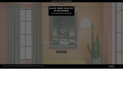 palmdelux.com snapshot