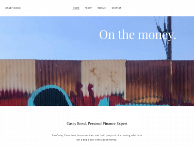 www.casey-bond.com snapshot