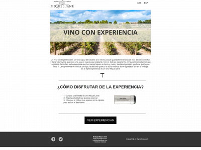 vinoconexperiencia.com snapshot