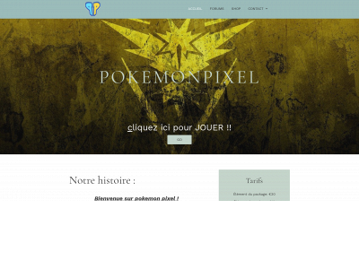 pokemonpixel.fr snapshot