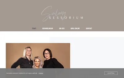 salongsessorium.se snapshot