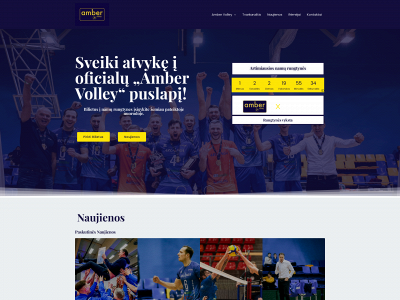 ambervolley.lt snapshot