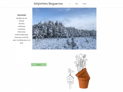schylstromsskogsservice.se snapshot