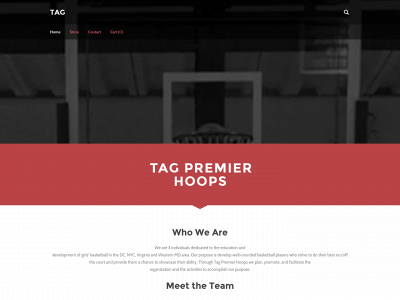 www.tagpremier.com snapshot