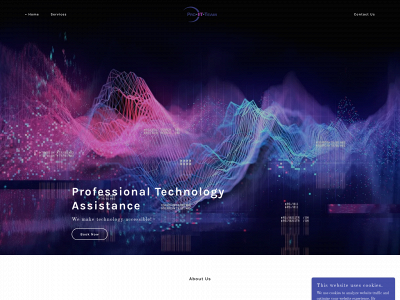 proitteam.com snapshot