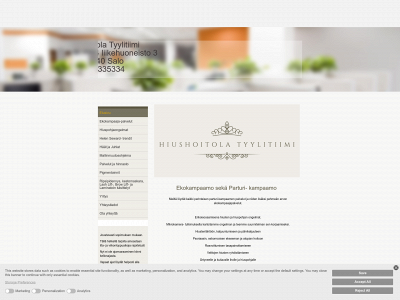 tyylitiimi.com snapshot
