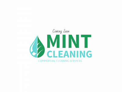mintcommercialcleaningservices.com snapshot