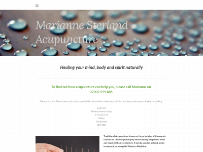 www.mariannesterlandacupuncture.co.uk snapshot