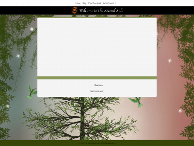 thesecondside.com snapshot