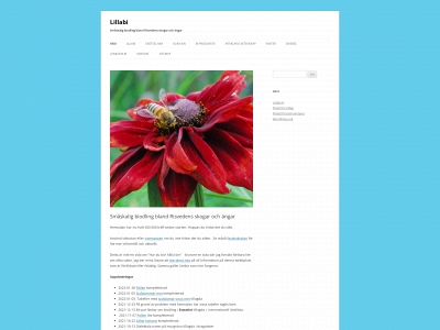 lillabi.com snapshot