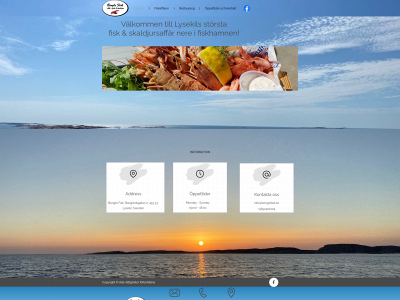 bengtsfisk.se snapshot