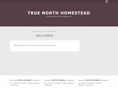 truenorthhomestead.com snapshot
