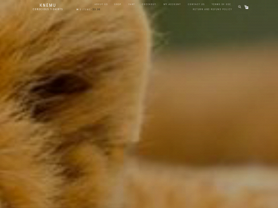 knemu.com snapshot