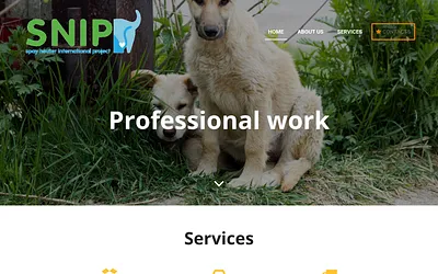 snip-foundation.org snapshot