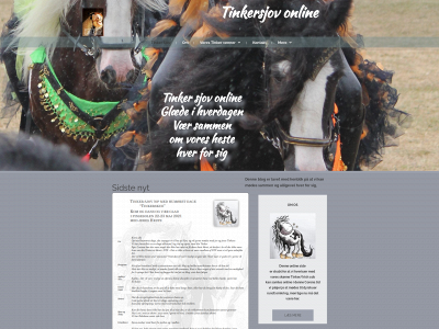 tinkersjov.online snapshot