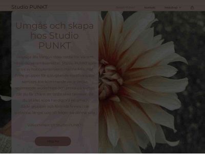 studiopunkt.se snapshot