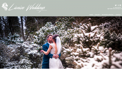 lionizeweddings.co.uk snapshot