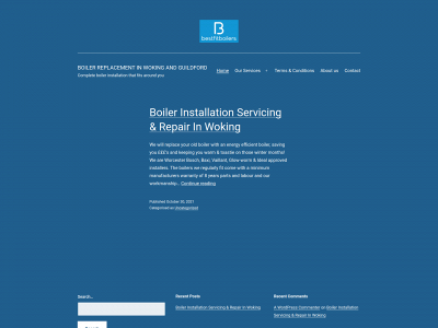 bestfitboilers.com snapshot