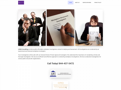 lmsbconsulting.com snapshot