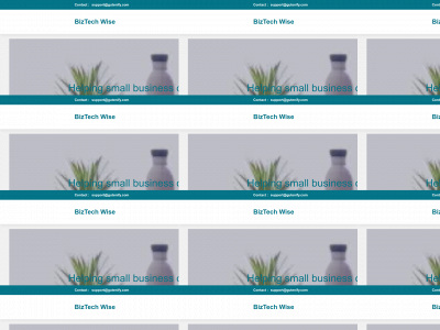 biztechwise.com snapshot