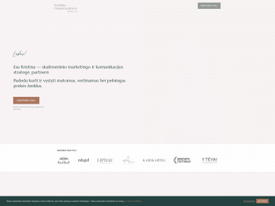 kristinadambrauskiene.lt snapshot
