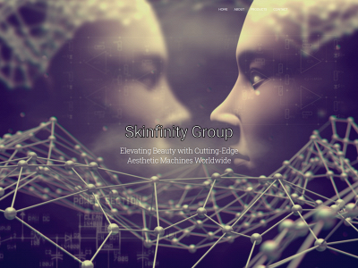 skinfinitygroup.co.uk snapshot