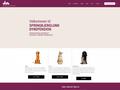springbjerglund.dk snapshot