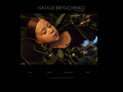 nataliebiryuchenko.nl snapshot