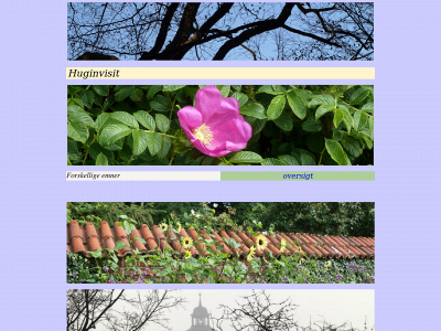 huginvisit.dk snapshot