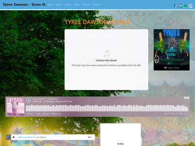 thetyreed.com snapshot