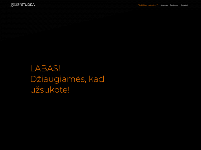 kodelstudija.lt snapshot