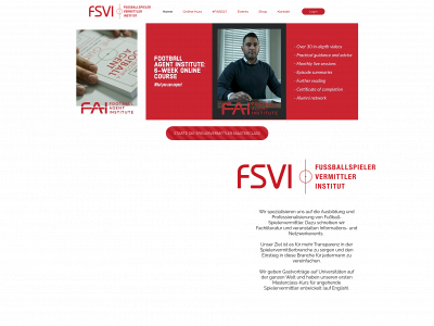 spielervermittler-institut.de snapshot