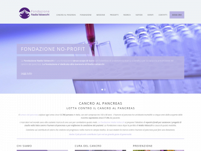 fondazionevalsecchi.org snapshot