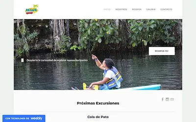 allitoursagency.weebly.com snapshot